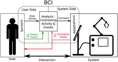 Using Fixation-Related Potentials for Inspecting Natural Interactions